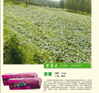 有机紫薯_农产品代理加盟_世界工厂网