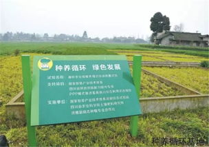 四川洪雅 集约规范 打造绿色有机农产品示范区