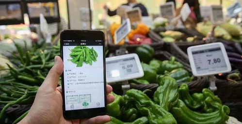 农产品溯源系统应用在哪些环节 蔬东坡农产品溯源系统如何
