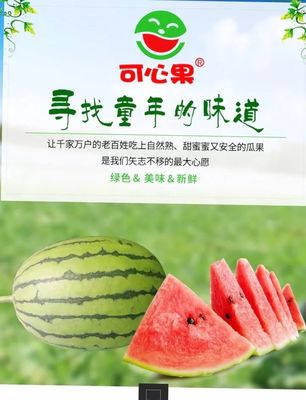 从田间到餐桌,打造全产业链农业产业化联合体【乡村振兴看站长】