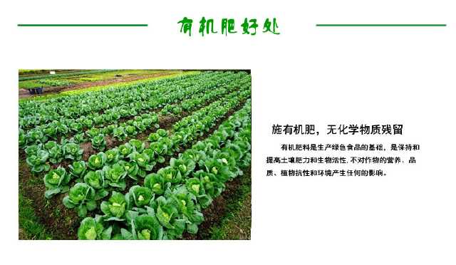 有机肥,农业发展的 香饽饽