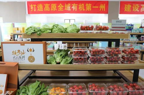 早安甘孜 新闻来了