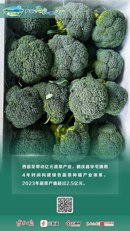 产业兴农看大理丨特色农业全展示
