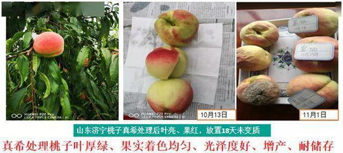 真希r 生产有机富硒农产品的得力助手 纳米级别,易吸收易转化