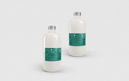 哈萨克斯坦有机农产品公司biogorod品牌设计