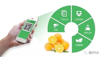 重庆 强力推出 巴味渝珍 市级农产品区域公用品牌